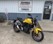 2024 Honda CB300R ABS – Like New with ONLY 485 Miles!