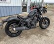 2020 Honda Rebel 300 Pristine!